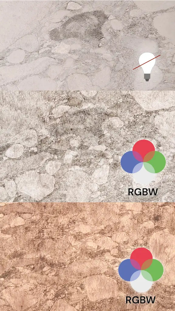 Translucent PEBBLE BEACH