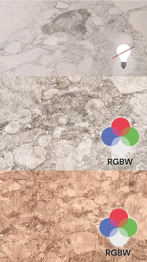 Translucent PEBBLE BEACH